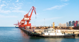 2020年，国内这几十个试点城市已陆续开通了尊龙抖圈 - 为du而生进口业务